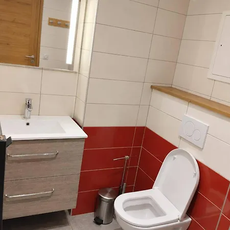 Appartement Rénové Proche Des Pistes Avec Animaux Admis - Fr-1-181-2009