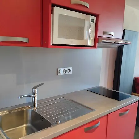 Appartement Rénové Proche Des Pistes Avec Animaux Admis - Fr-1-181-2009